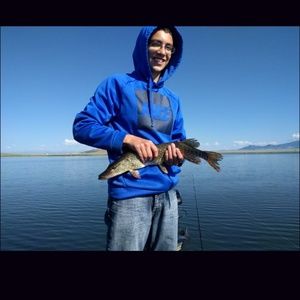 Meet your Posher, Joseph